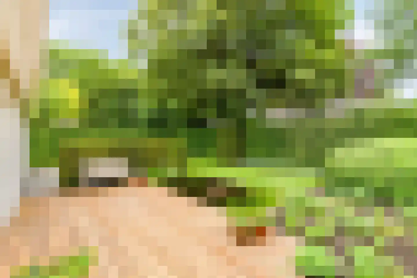 de Loo 94 Mierlo thumbnail 47
