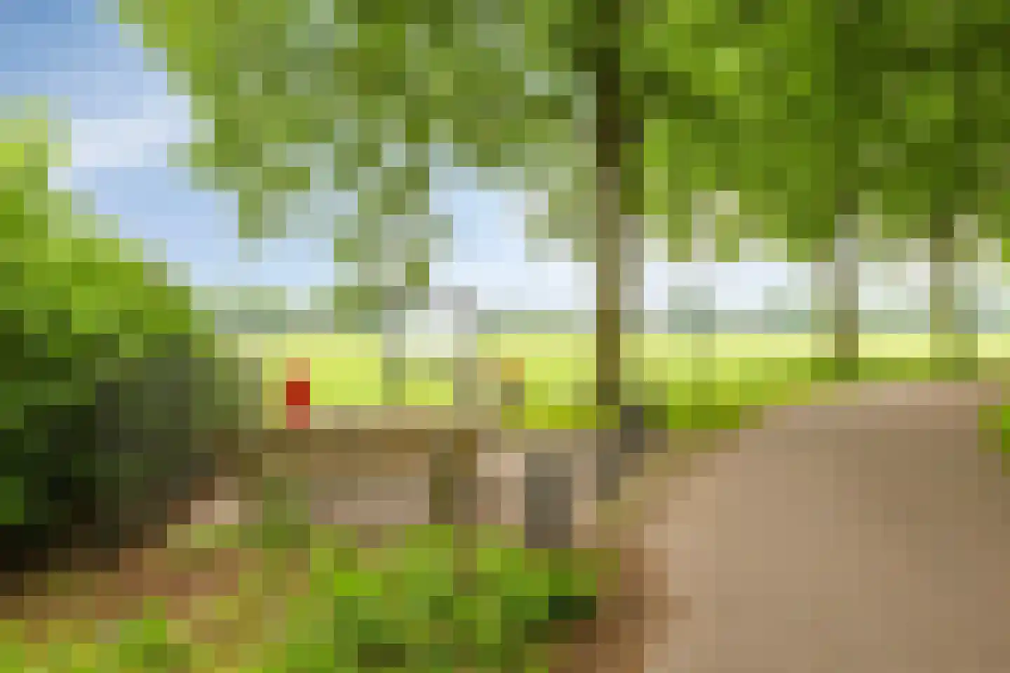 de Loo 94 Mierlo thumbnail 49
