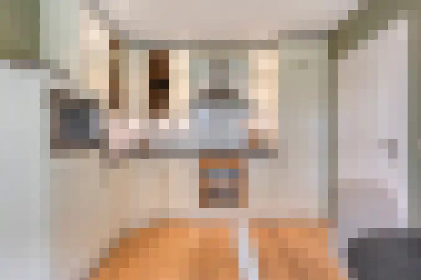 de Loo 94 Mierlo thumbnail 5