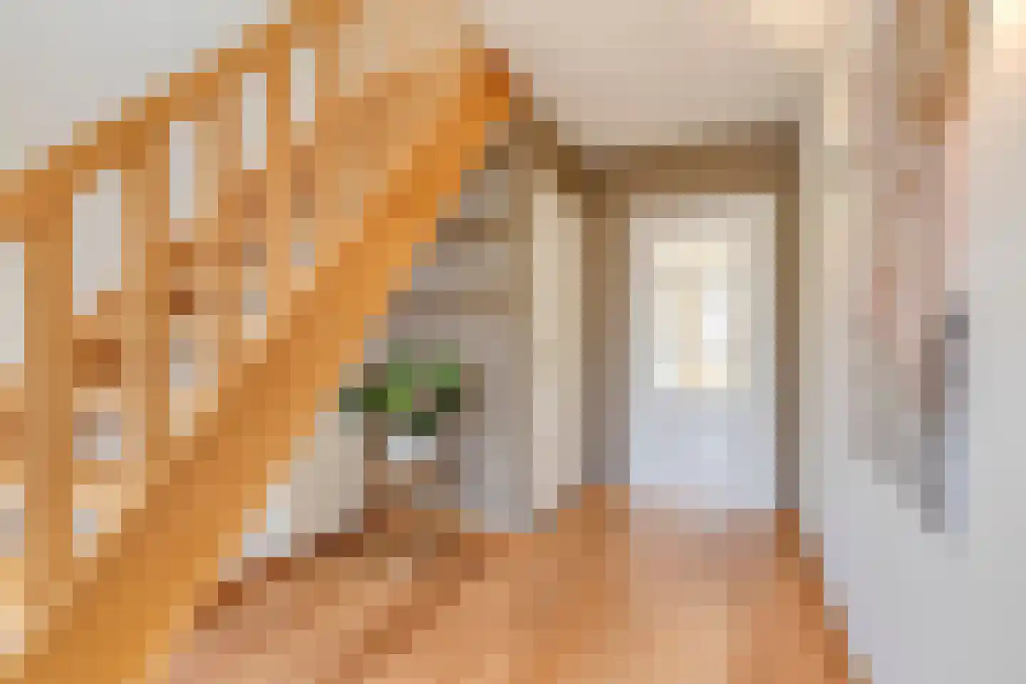 de Loo 94 Mierlo thumbnail 9