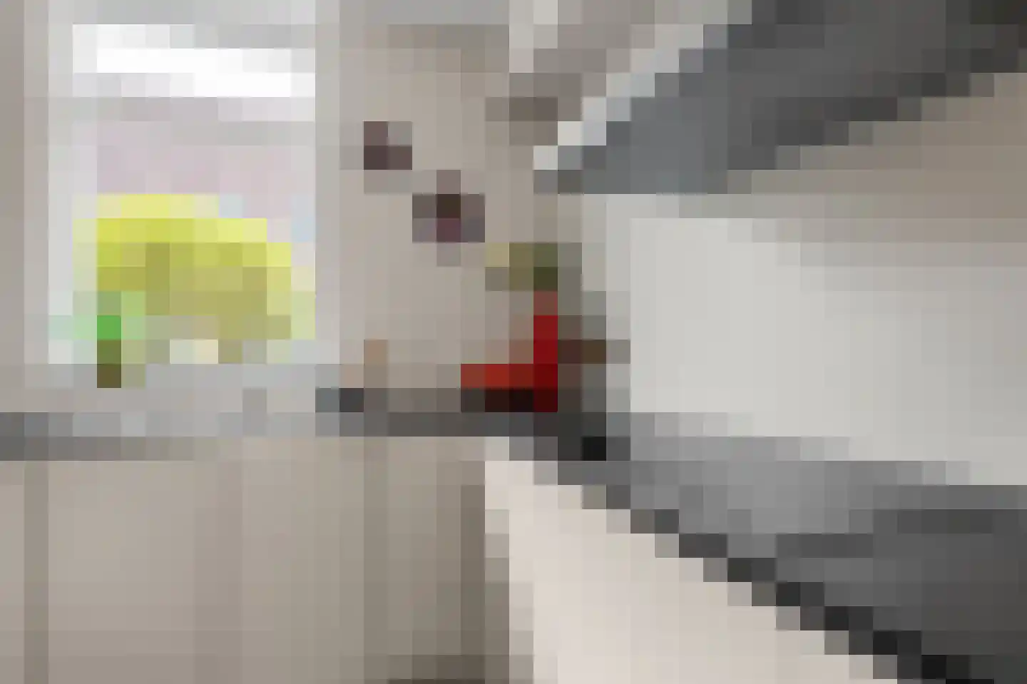 De Looch 26 Vianen thumbnail 10