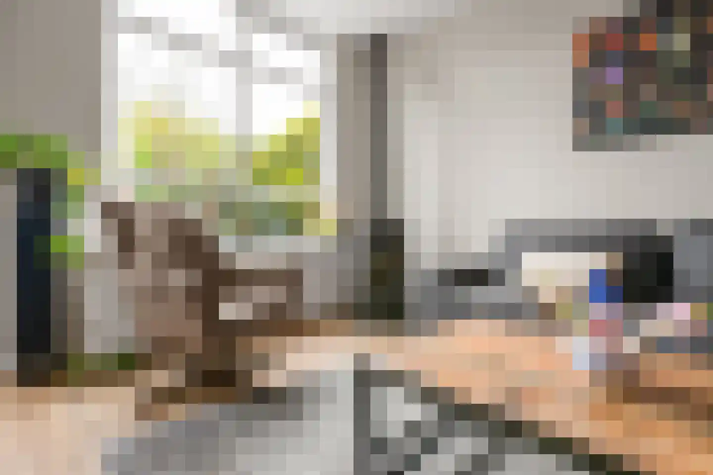 De Looch 26 Vianen thumbnail 6