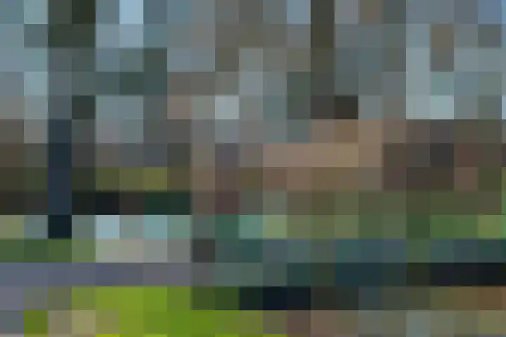 De Looch 56 Vianen thumbnail 25