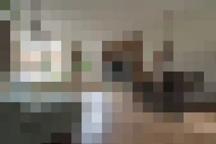 De Looch 56 Vianen thumbnail 8