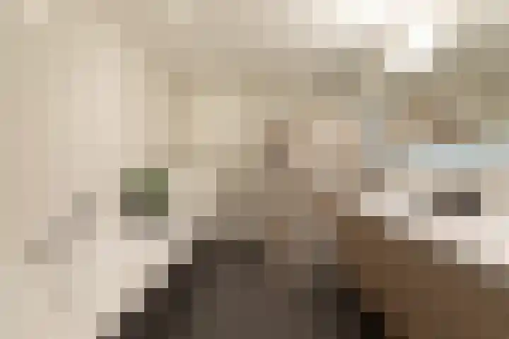 De Loodsen 6 Hilversum thumbnail 22