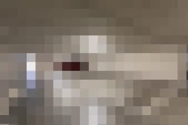 De Loodsen 6 Hilversum thumbnail 34