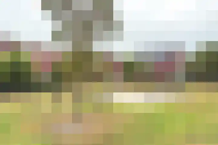 De Loodsen 6 Hilversum thumbnail 35