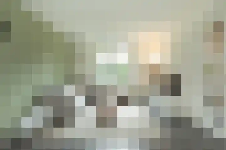 De Loodsen 6 Hilversum thumbnail 4