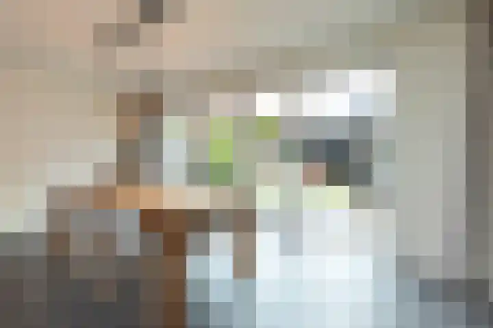 De Loodsen 6 Hilversum thumbnail 7