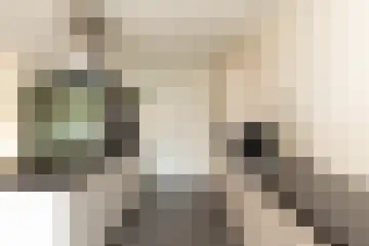 De Loodsen 6 Hilversum thumbnail 9