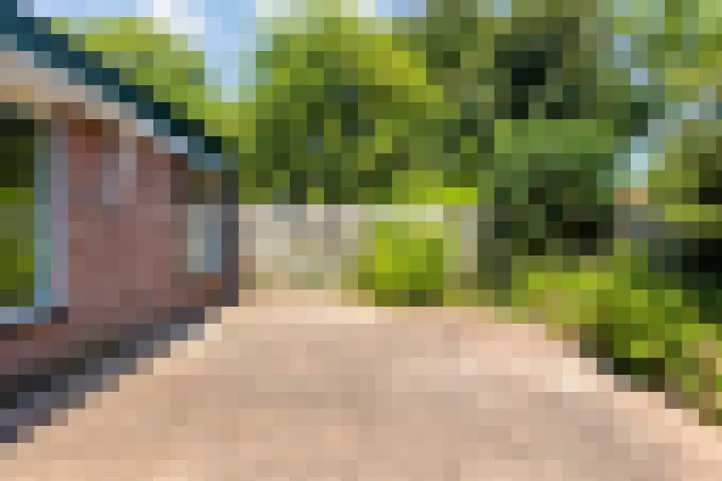 De Loohof 96 Zetten thumbnail 27