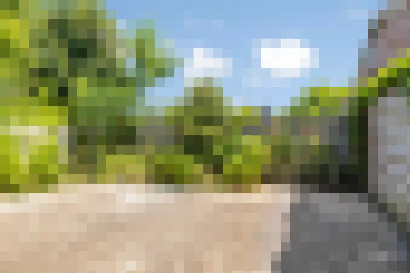 De Loohof 96 Zetten thumbnail 28