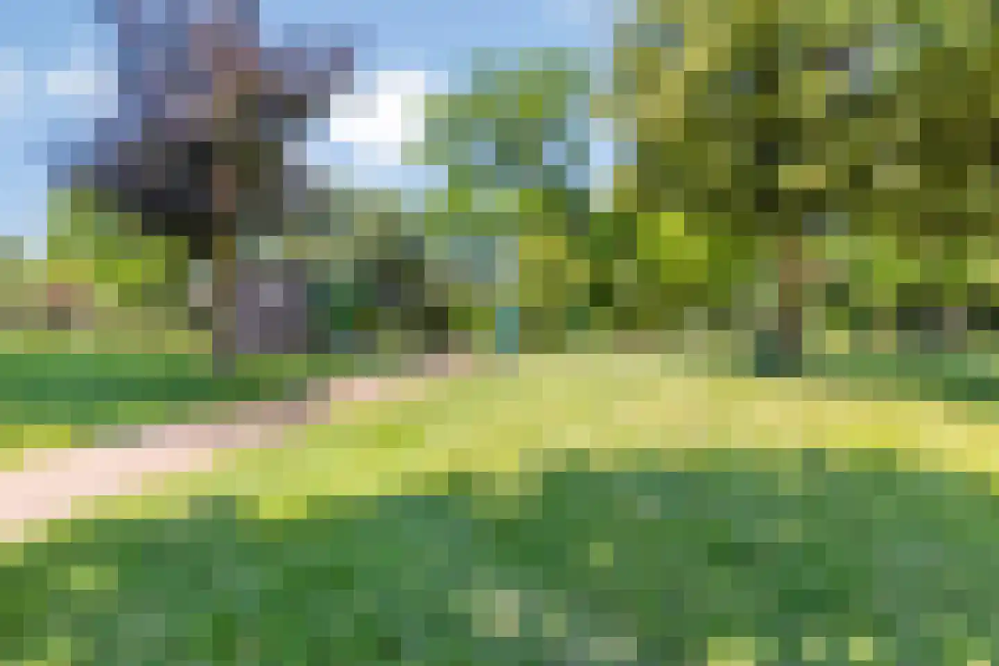 De Loohof 96 Zetten thumbnail 31