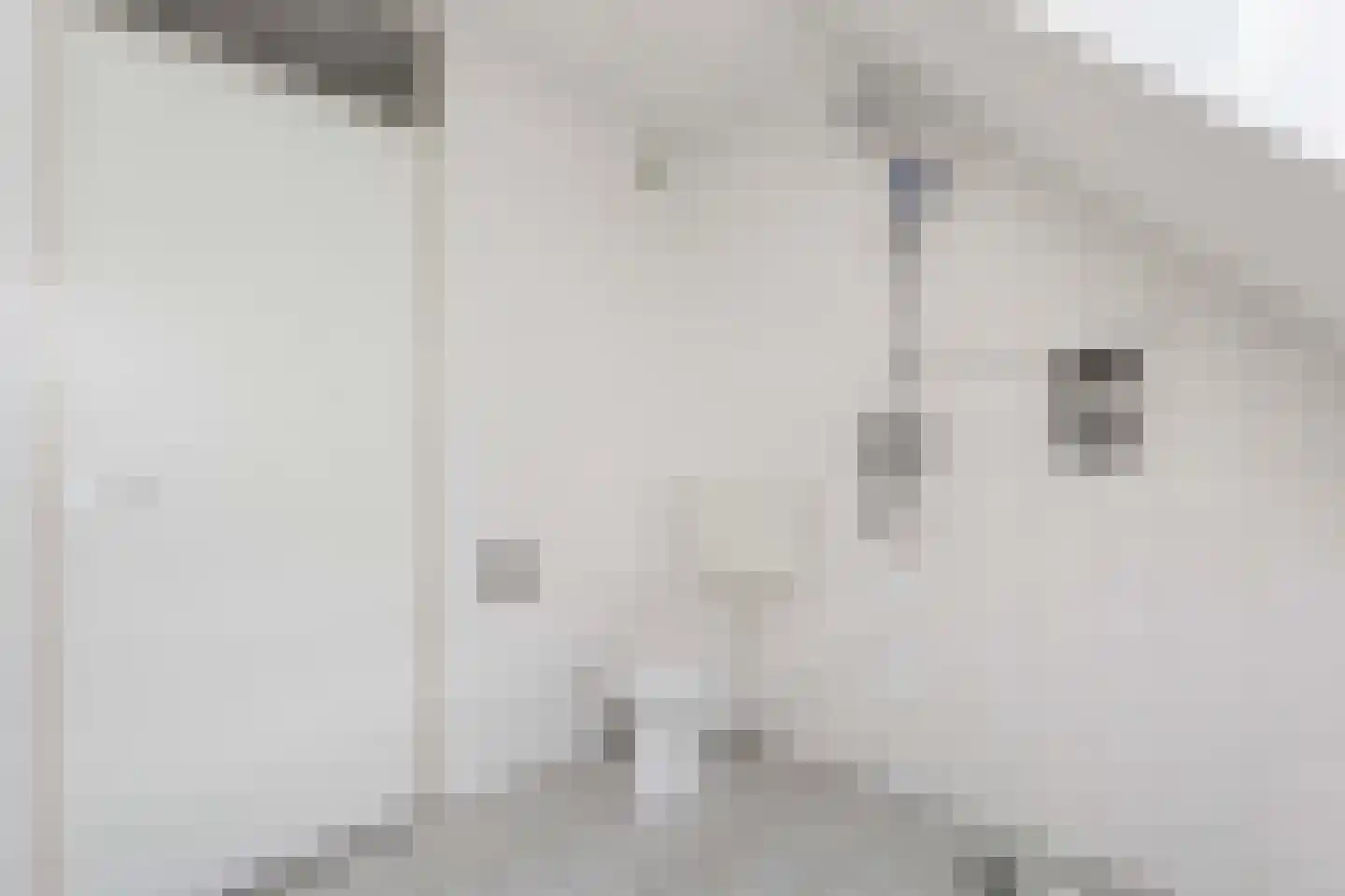 De Looiershilt 6 Leusden thumbnail 25