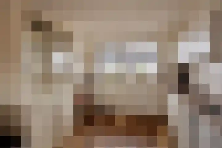 De Looiershilt 7 Leusden thumbnail 11