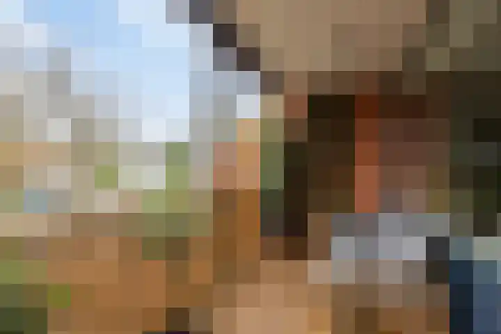De Looiershilt 7 Leusden thumbnail 13