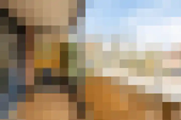 De Looiershilt 7 Leusden thumbnail 14