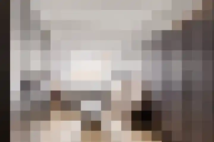 De Looiershilt 7 Leusden thumbnail 16