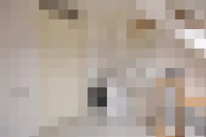 De Looiershilt 7 Leusden thumbnail 20
