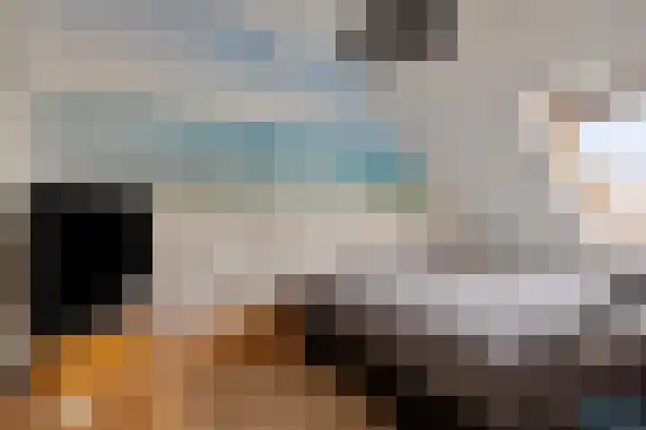 De Looiershilt 7 Leusden thumbnail 21