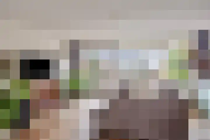 De Looiershilt 7 Leusden thumbnail 6