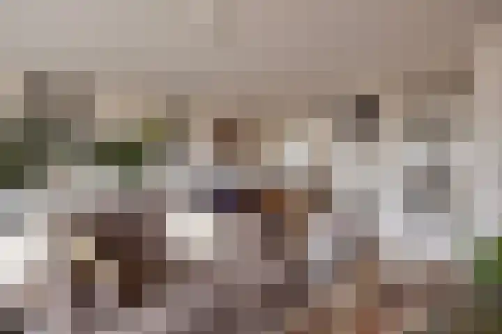 De Looiershilt 7 Leusden thumbnail 7