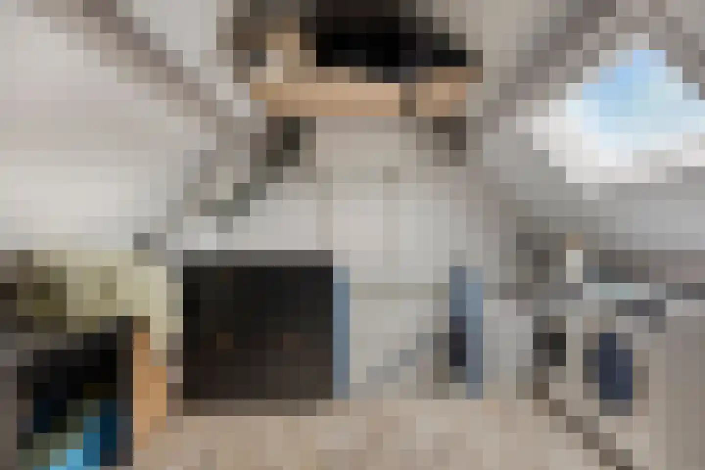 De Looijakker 19 Moergestel thumbnail 22
