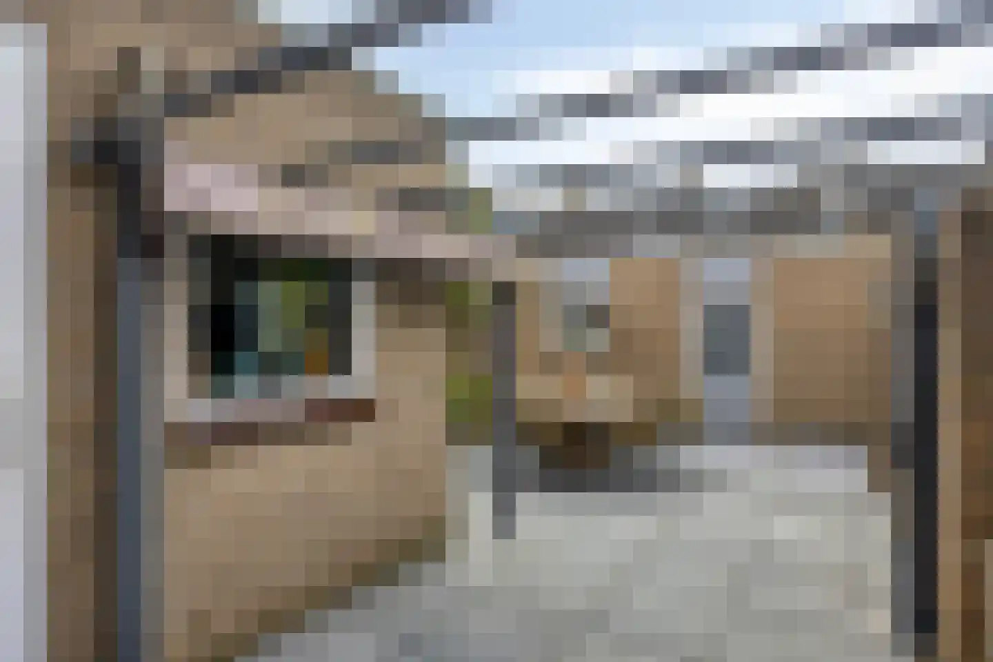 De Looijakker 19 Moergestel thumbnail 23