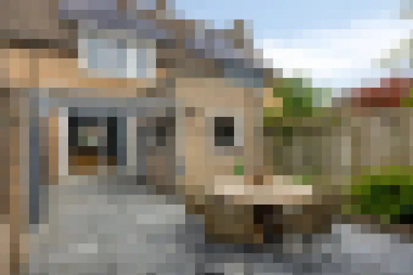 De Looijakker 19 Moergestel thumbnail 24