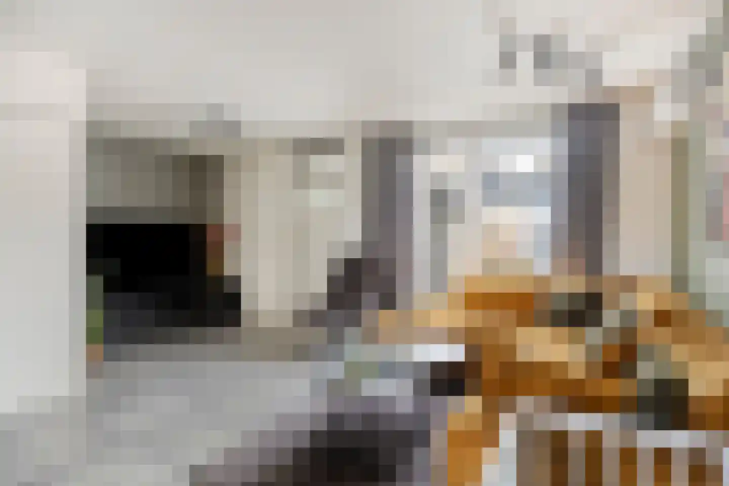 De Looijakker 19 Moergestel thumbnail 4