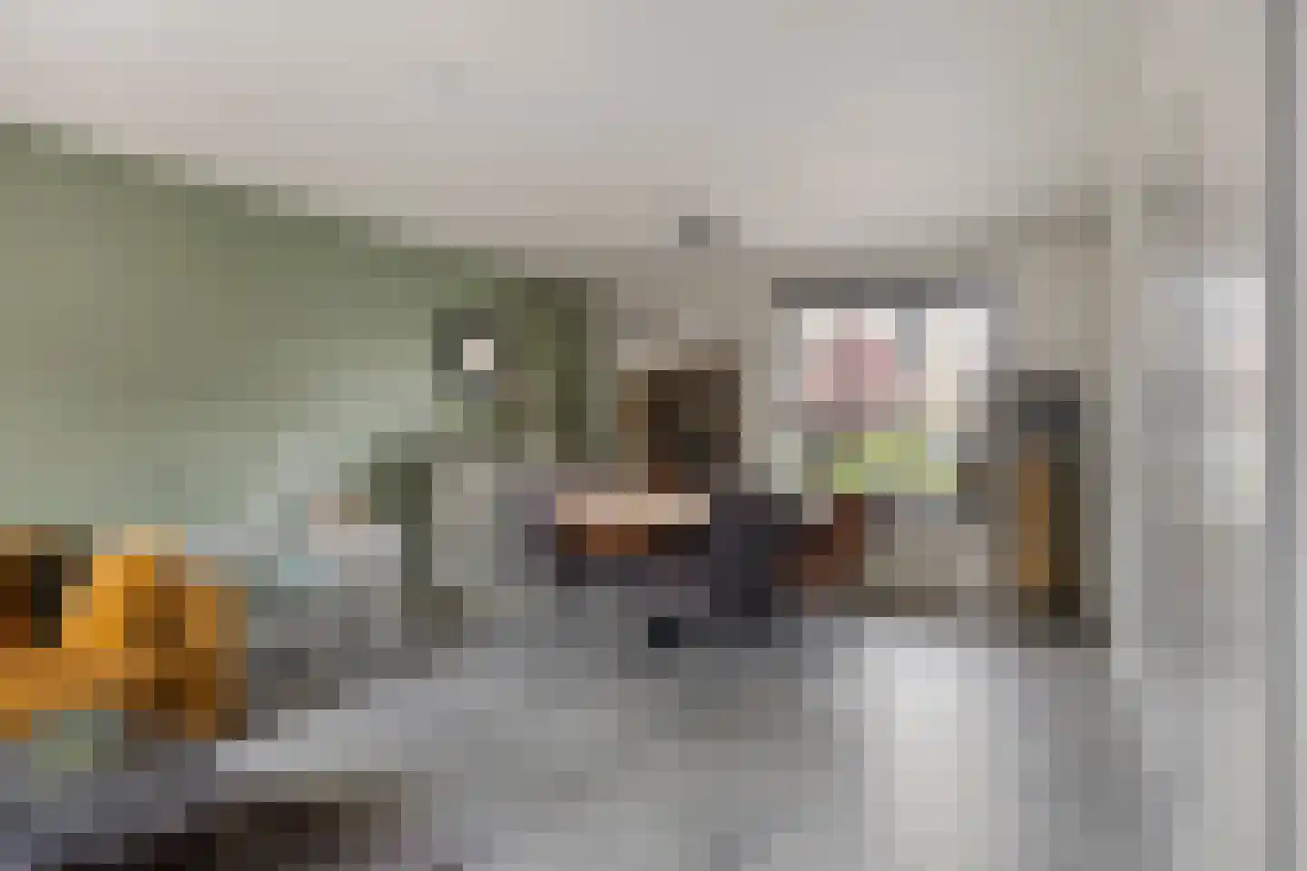 De Looijakker 19 Moergestel thumbnail 6