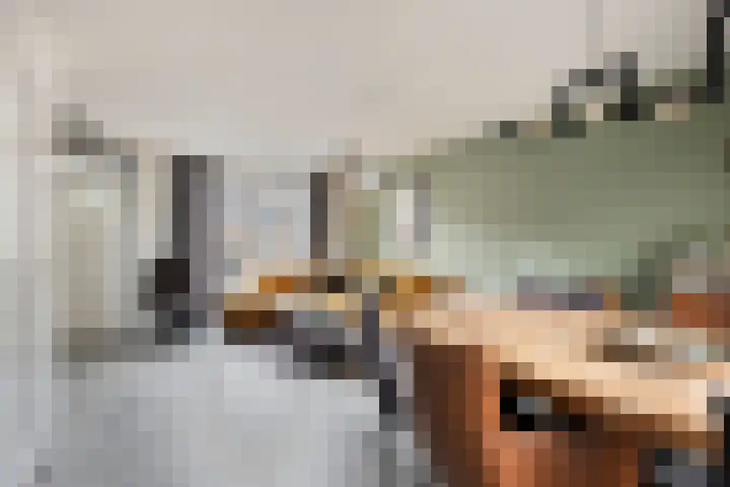 De Looijakker 19 Moergestel thumbnail 8