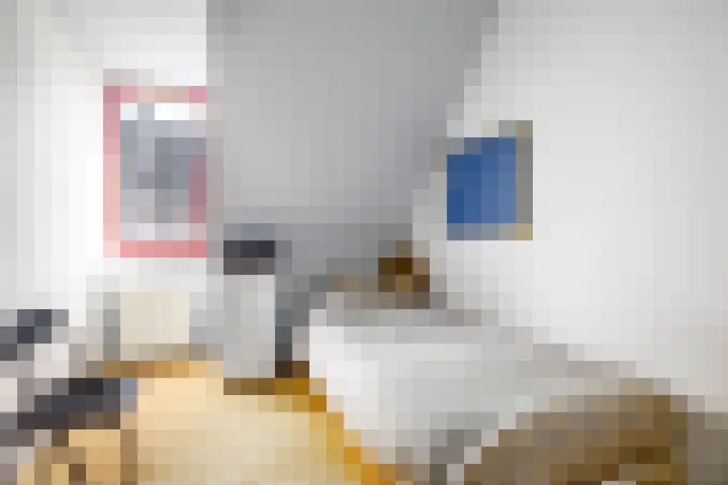 De Looijakker 24 Moergestel thumbnail 11