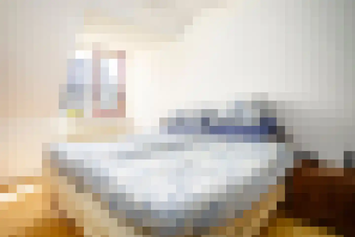 De Looijakker 24 Moergestel thumbnail 12