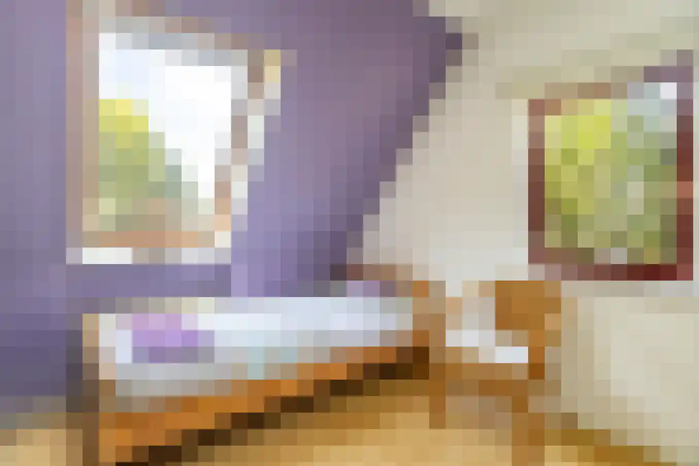 De Looijakker 24 Moergestel thumbnail 15