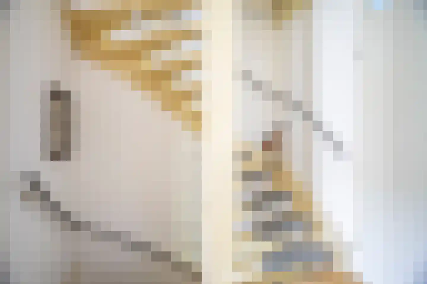 De Looijakker 24 Moergestel thumbnail 17