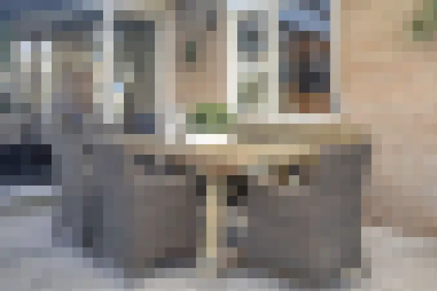 De Looijakker 24 Moergestel thumbnail 20