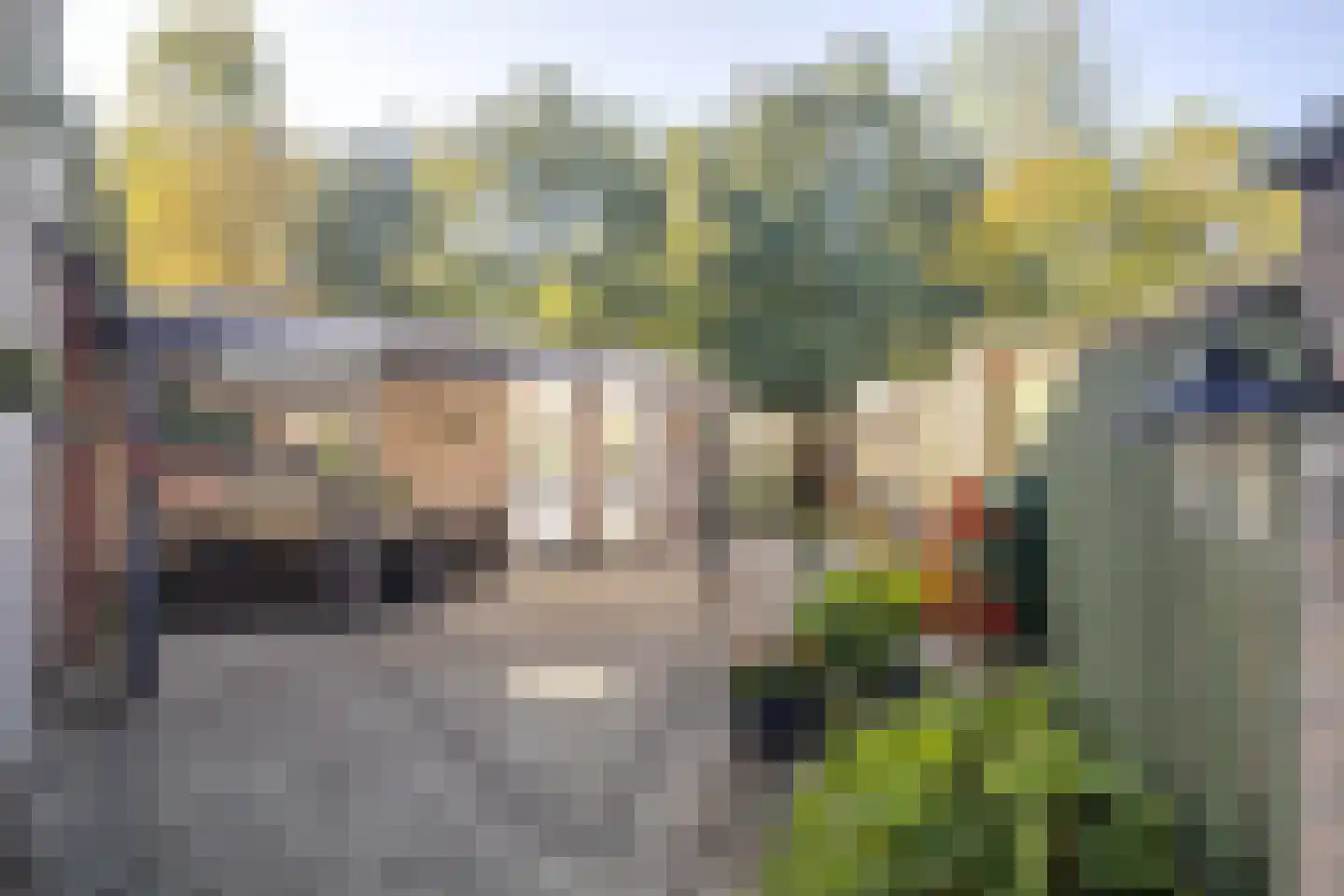 De Looijakker 24 Moergestel thumbnail 21