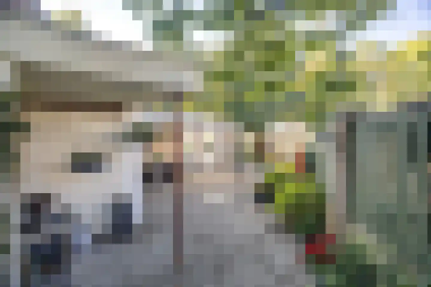 De Looijakker 24 Moergestel thumbnail 23