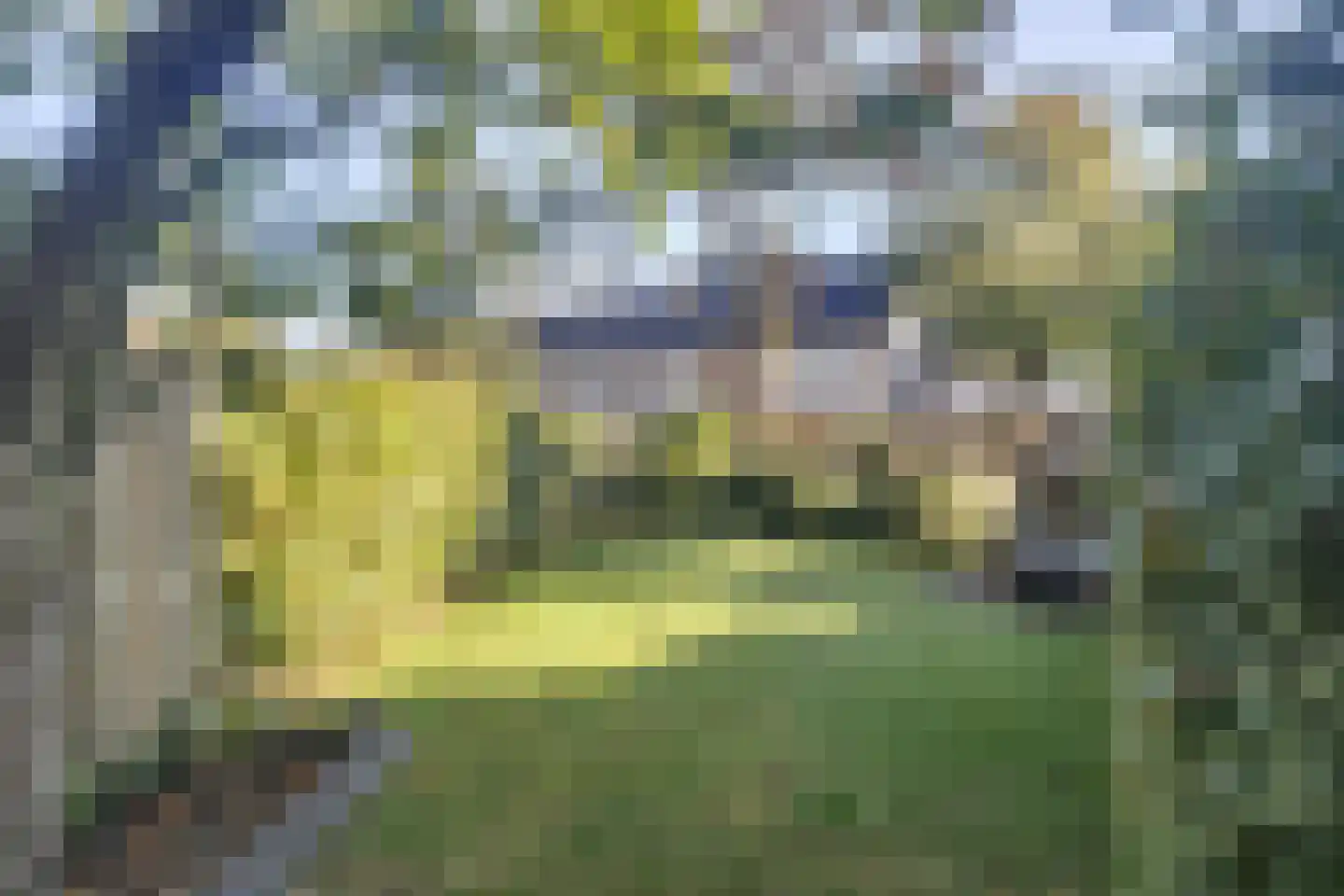 De Looijakker 24 Moergestel thumbnail 25