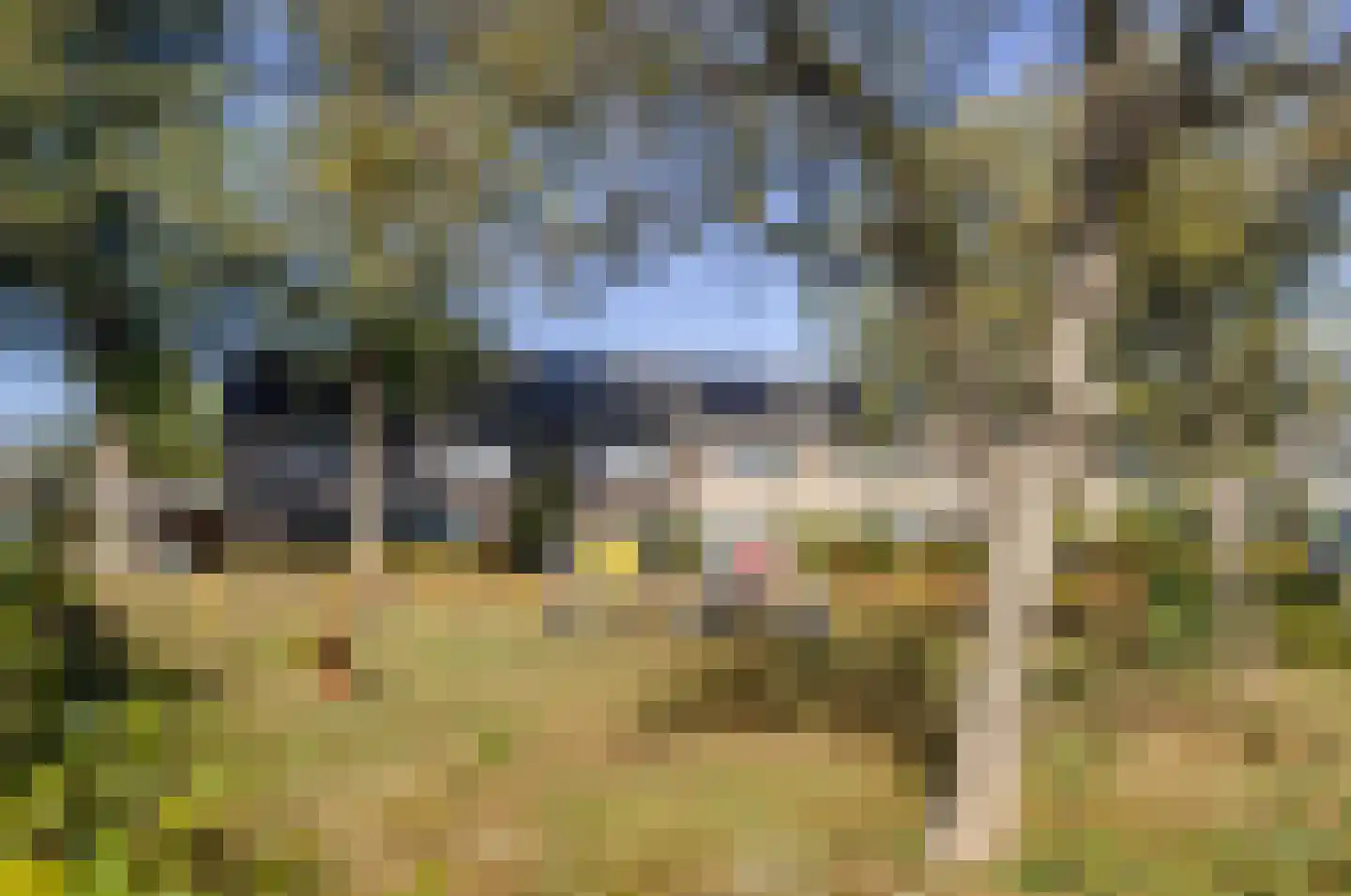 De Looijakker 24 Moergestel thumbnail 28