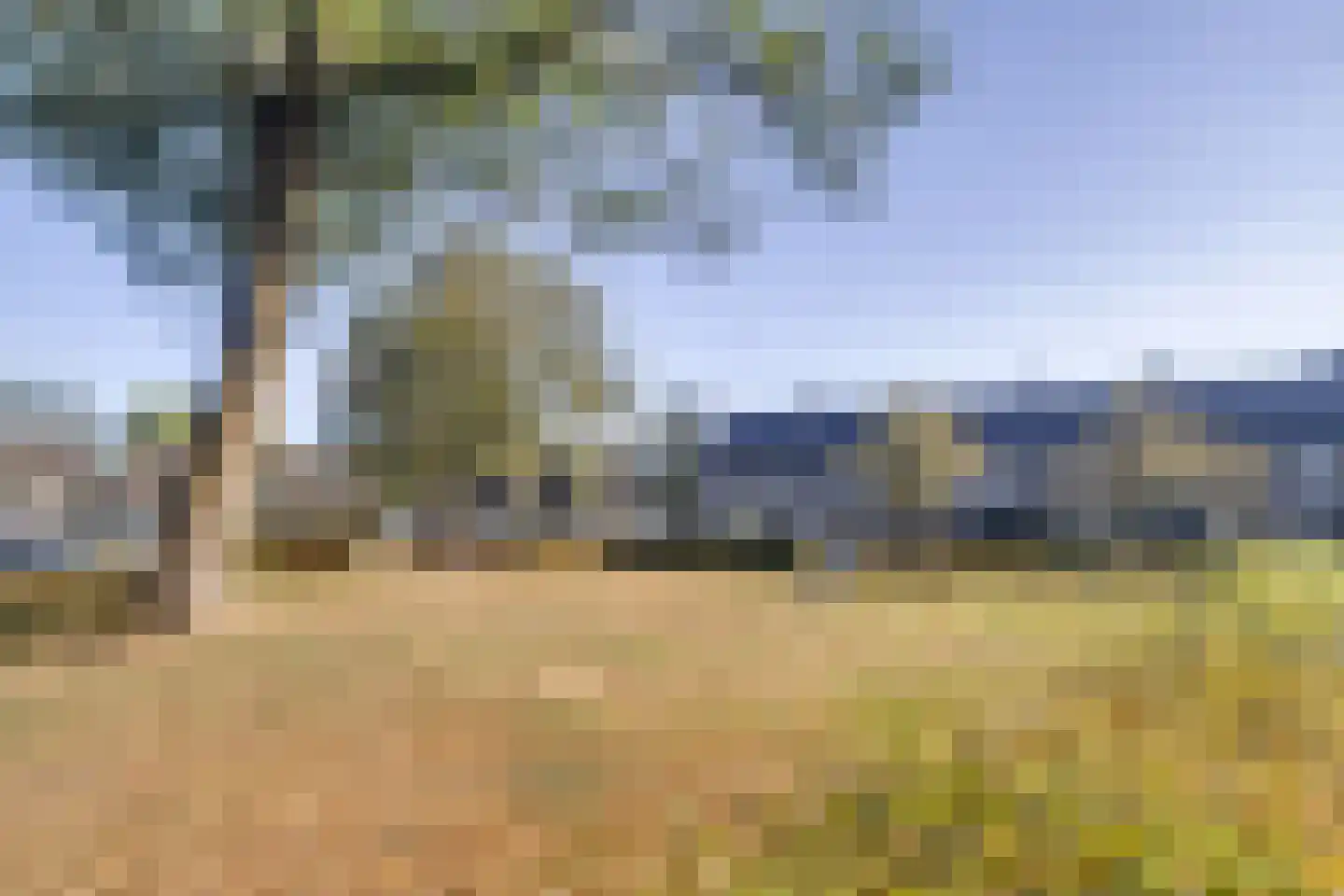 De Looijakker 24 Moergestel thumbnail 29