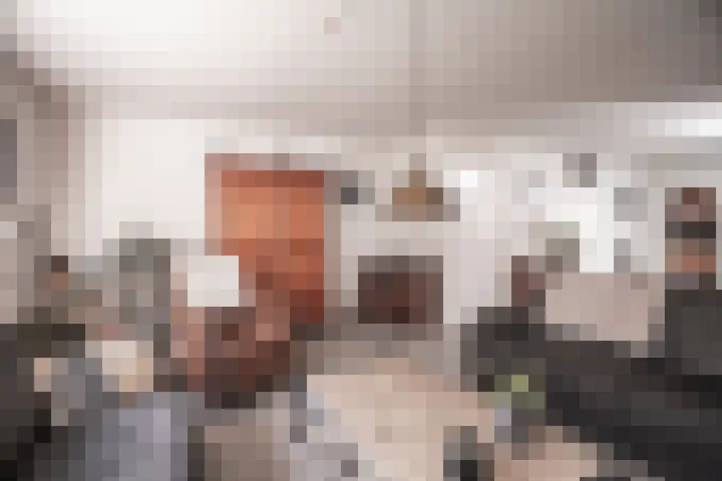 De Looijakker 24 Moergestel thumbnail 6