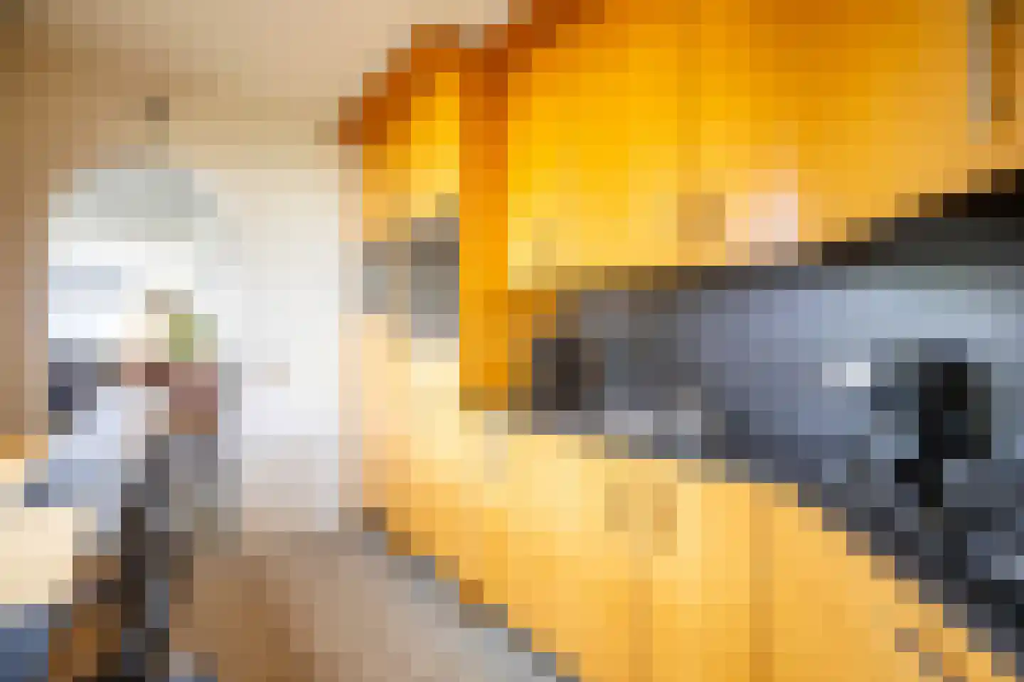 De Looijakker 24 Moergestel thumbnail 9