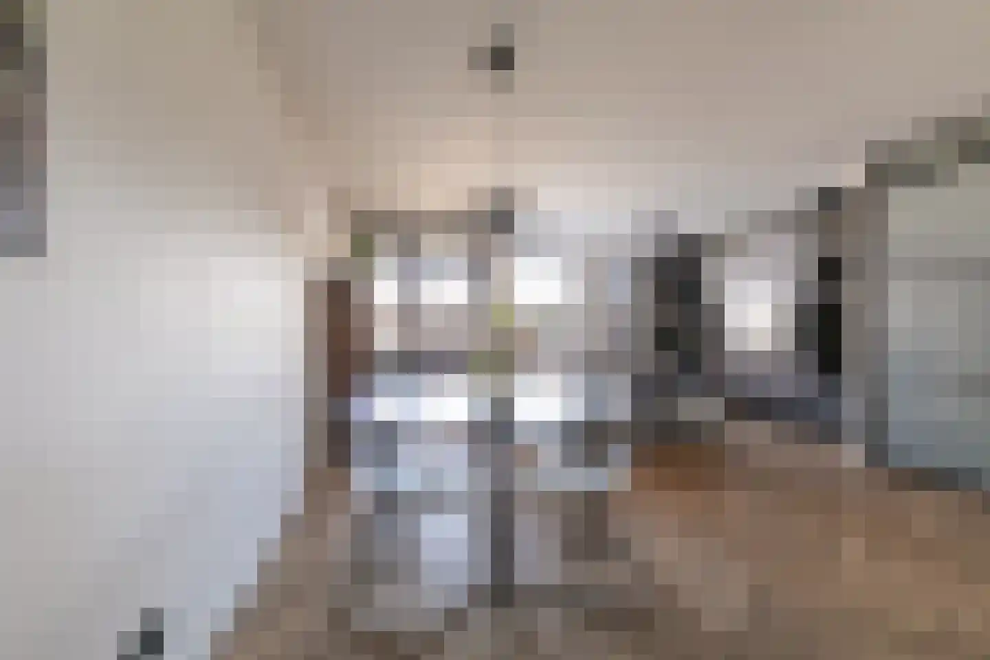 De Looijakker 58 Moergestel thumbnail 10