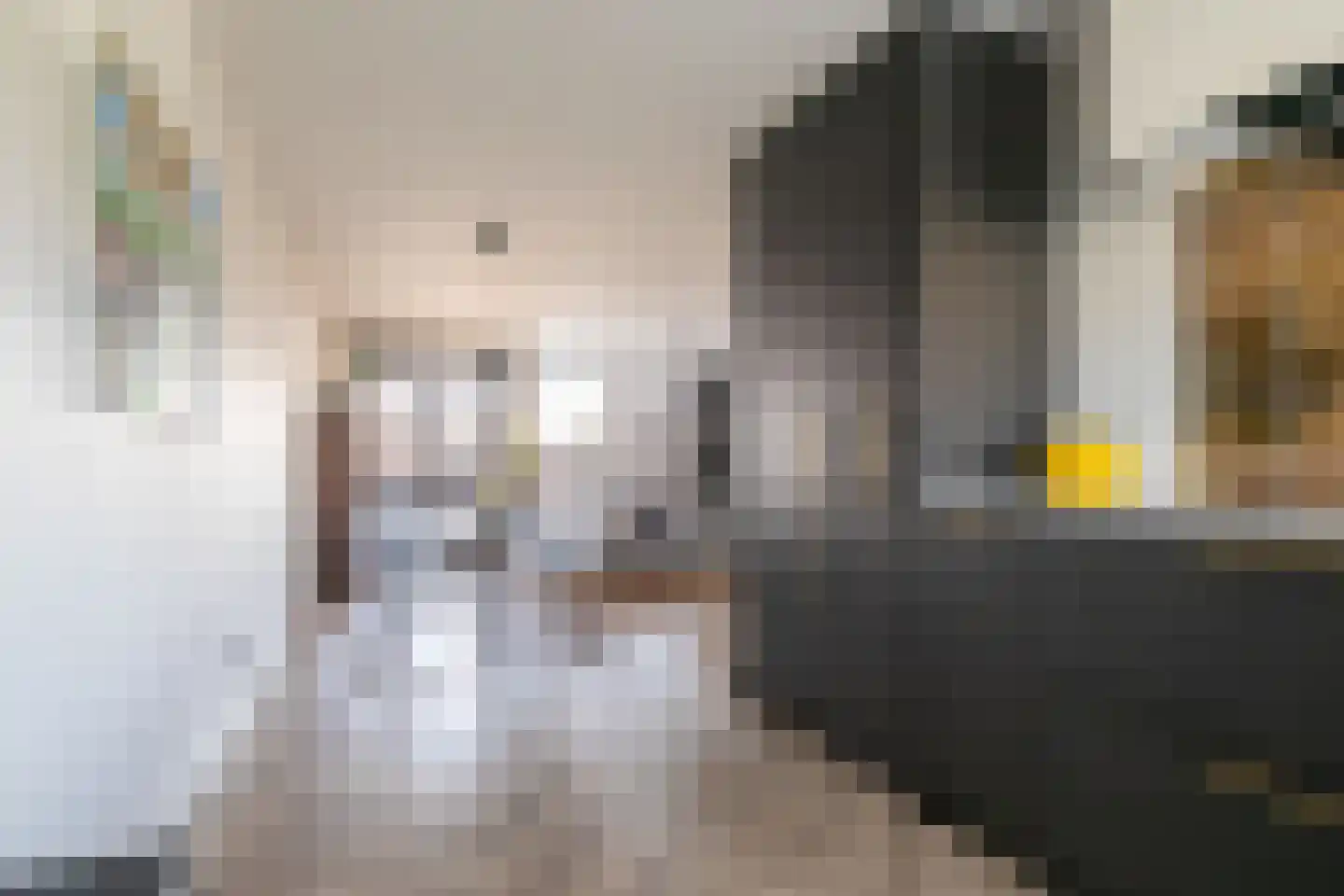 De Looijakker 58 Moergestel thumbnail 16