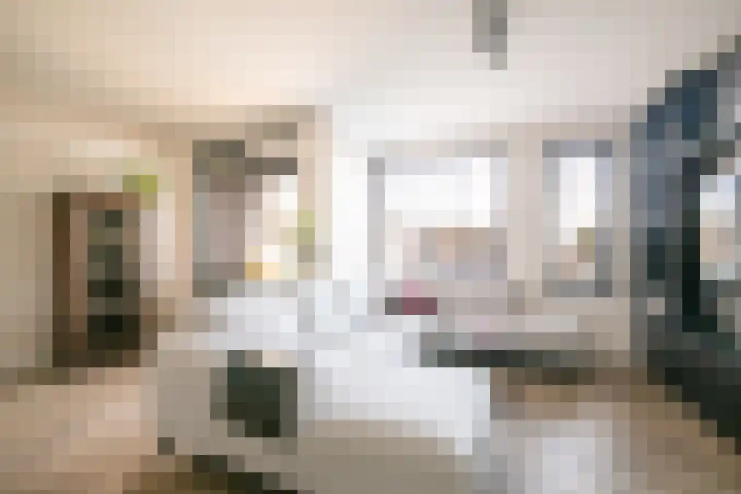 De Looijakker 58 Moergestel thumbnail 20