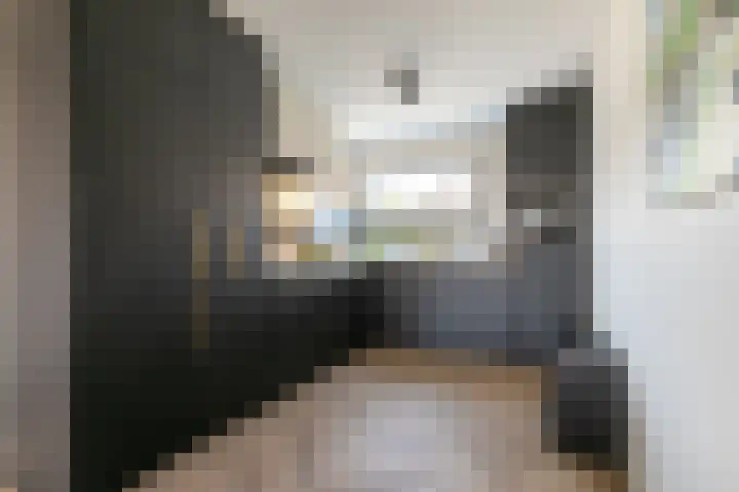 De Looijakker 58 Moergestel thumbnail 22