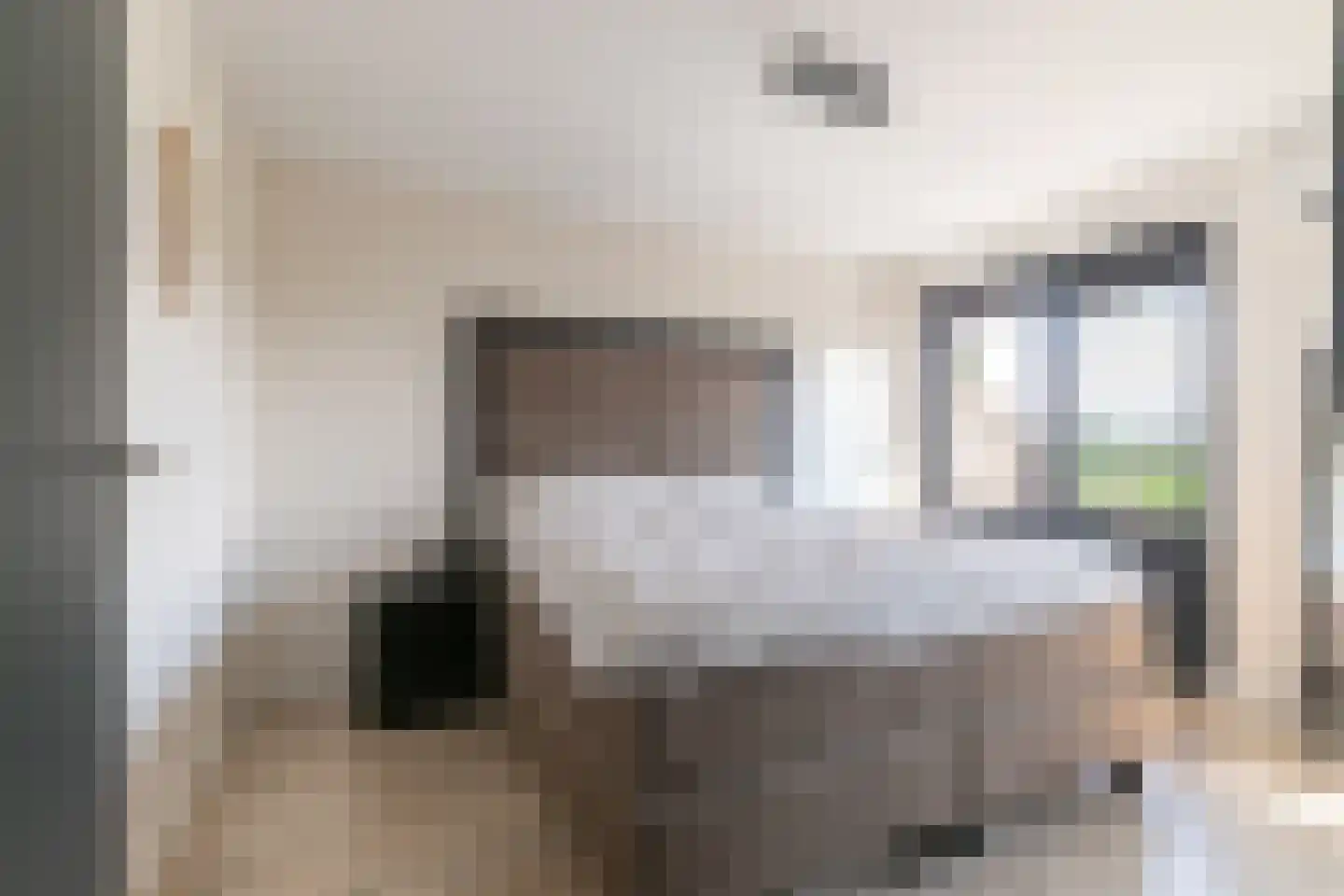 De Looijakker 58 Moergestel thumbnail 29