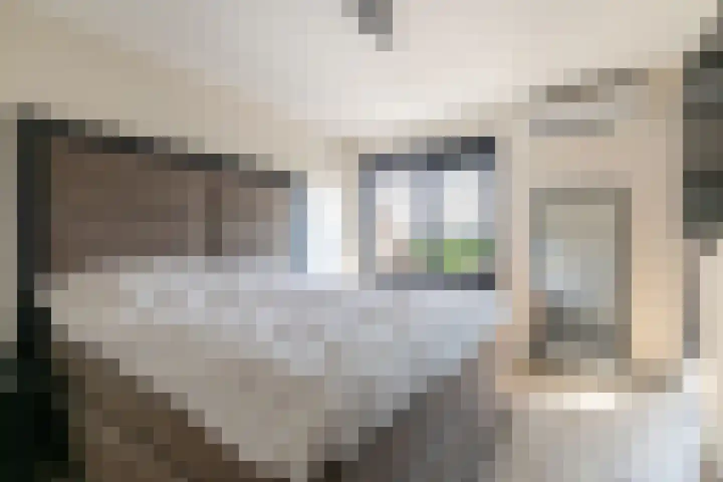 De Looijakker 58 Moergestel thumbnail 30